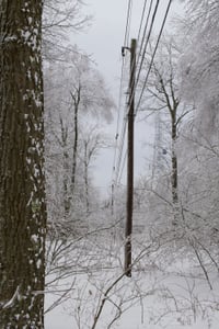 Ice Storm Pt. 2