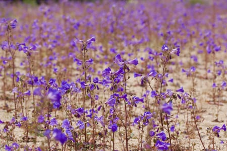 Canon EOS 7D Mark II · 200mm · f/11.0 · 1/200 · ISO 100