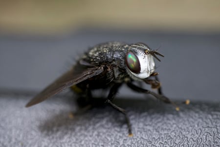 Canon EOS 7D Mark II · 35mm · f/4.5 · 1/80 · ISO 320