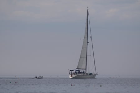 Canon EOS 7D Mark II · 300mm · f/5.6 · 1/2000 · ISO 100