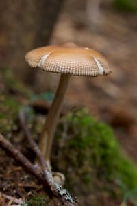 Canon EOS 7D Mark II · 35mm · f/5.6 · 1/100 · ISO 400