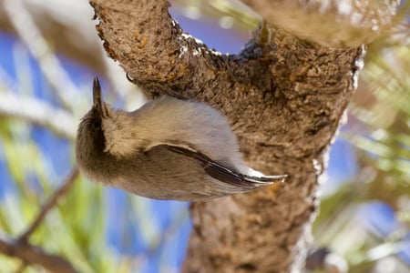 Canon EOS 7D Mark II · 400mm · f/5.6 · 1/1000 · ISO 640