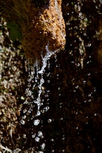 Canon EOS 7D Mark II · 400mm · f/5.6 · 1/2000 · ISO 500