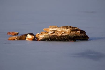 Canon EOS 7D Mark II · 400mm · f/5.6 · 1/400 · ISO 100