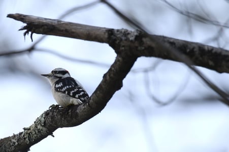 Photo from Stonevalley