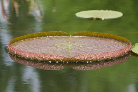 Canon EOS 7D Mark II · 142mm · f/5.6 · 1/400 · ISO 100